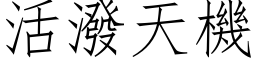 活泼天机 (仿宋矢量字库)