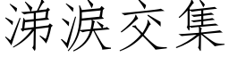 涕泪交集 (仿宋矢量字库)