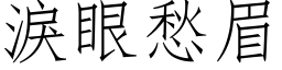 泪眼愁眉 (仿宋矢量字库)