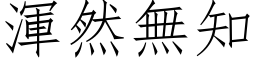 浑然无知 (仿宋矢量字库)