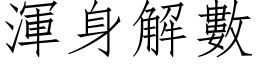 浑身解数 (仿宋矢量字库)