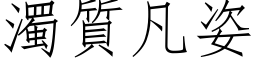 浊质凡姿 (仿宋矢量字库)