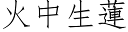 火中生莲 (仿宋矢量字库)