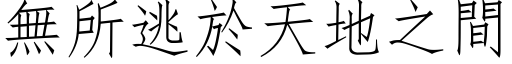 無所逃於天地之間 (仿宋矢量字库)