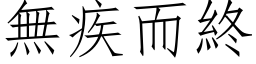 無疾而終 (仿宋矢量字库)