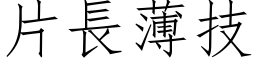 片长薄技 (仿宋矢量字库)