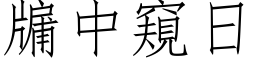 牖中窥日 (仿宋矢量字库)