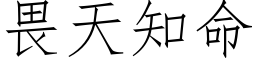 畏天知命 (仿宋矢量字库)