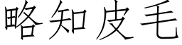 略知皮毛 (仿宋矢量字库)