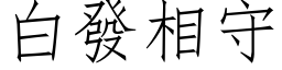 白發相守 (仿宋矢量字库)