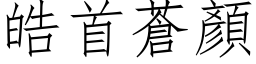 皓首苍顏 (仿宋矢量字库)