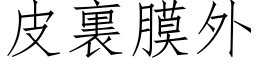 皮裏膜外 (仿宋矢量字库)