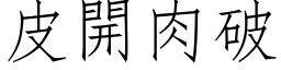 皮开肉破 (仿宋矢量字库)