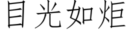 目光如炬 (仿宋矢量字库)