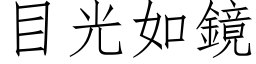 目光如镜 (仿宋矢量字库)