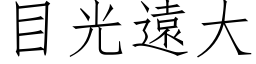 目光远大 (仿宋矢量字库)