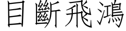 目斷飛鴻 (仿宋矢量字库)