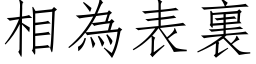 相為表裏 (仿宋矢量字库)