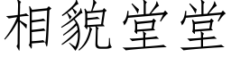 相貌堂堂 (仿宋矢量字库)