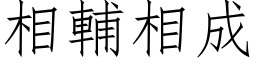 相辅相成 (仿宋矢量字库)