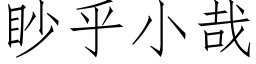 眇乎小哉 (仿宋矢量字库)