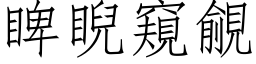 睥睨窺覦 (仿宋矢量字库)