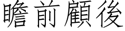 瞻前顾后 (仿宋矢量字库)