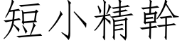 短小精幹 (仿宋矢量字库)