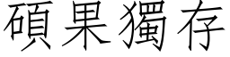 硕果独存 (仿宋矢量字库)