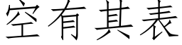 空有其表 (仿宋矢量字库)