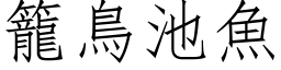 籠鳥池魚 (仿宋矢量字库)