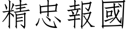 精忠报国 (仿宋矢量字库)