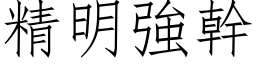 精明强干 (仿宋矢量字库)