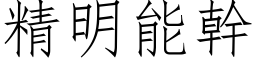 精明能幹 (仿宋矢量字库)