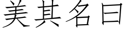 美其名曰 (仿宋矢量字库)