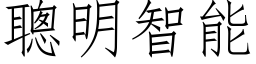 聪明智能 (仿宋矢量字库)