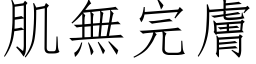 肌無完膚 (仿宋矢量字库)