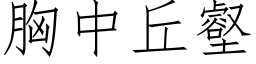 胸中丘壑 (仿宋矢量字库)