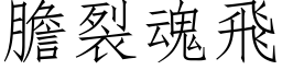 胆裂魂飞 (仿宋矢量字库)