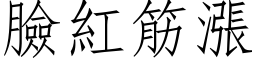 臉紅筋漲 (仿宋矢量字库)