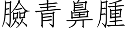 臉青鼻腫 (仿宋矢量字库)