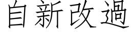 自新改過 (仿宋矢量字库)