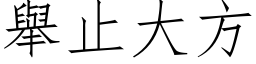 举止大方 (仿宋矢量字库)