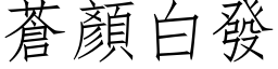 蒼顏白發 (仿宋矢量字库)