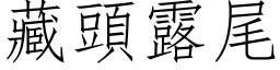 藏頭露尾 (仿宋矢量字库)