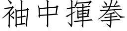 袖中揮拳 (仿宋矢量字库)