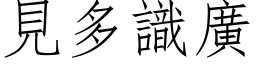 见多识广 (仿宋矢量字库)