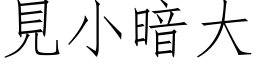 見小暗大 (仿宋矢量字库)