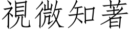 視微知著 (仿宋矢量字库)