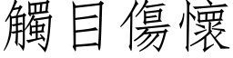 触目伤怀 (仿宋矢量字库)